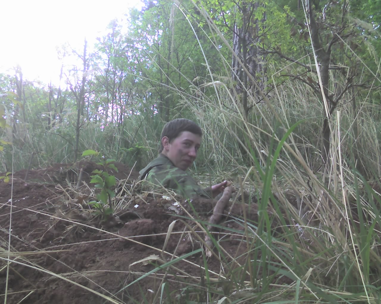 img320.jpg