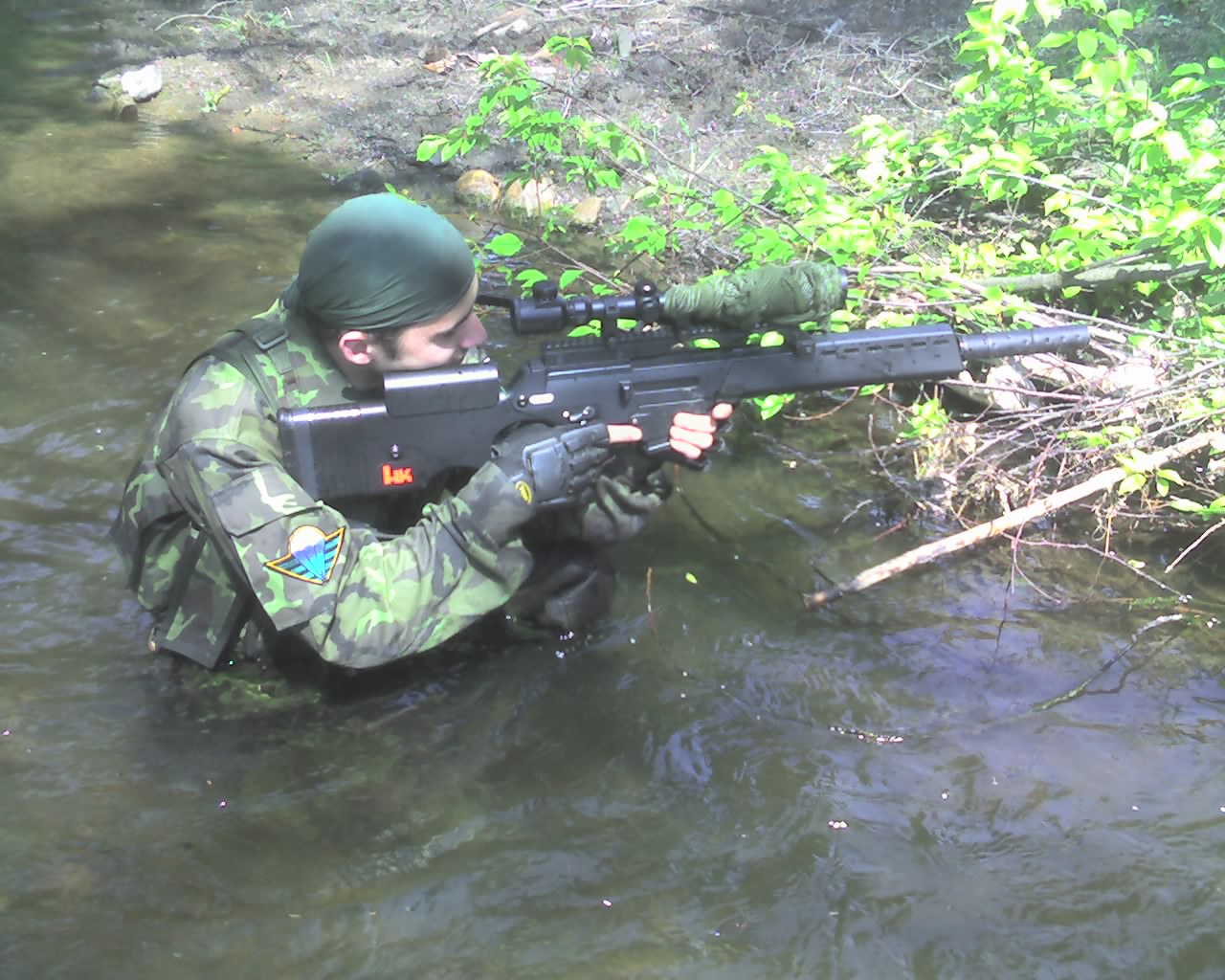 img347.jpg