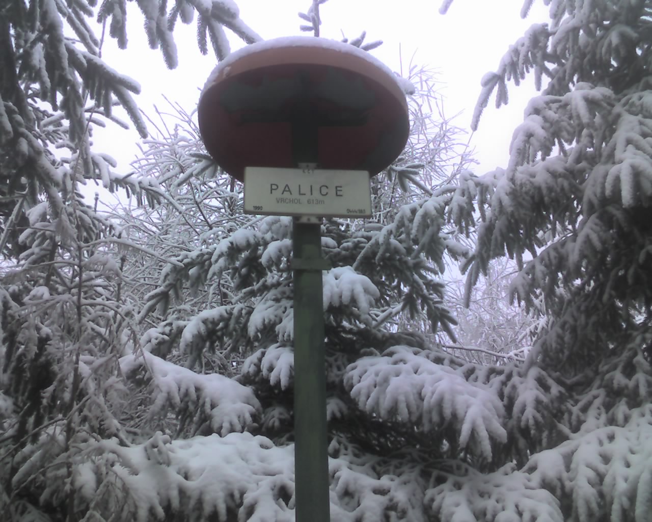 Palice, kdo ji poznal
